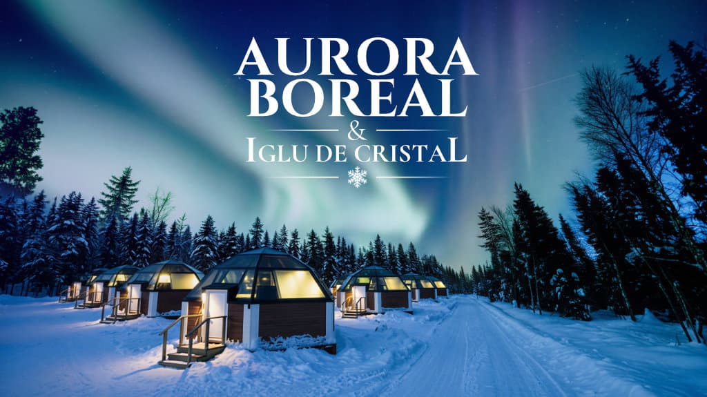 Aurora Boreal & Iglu de Cristal