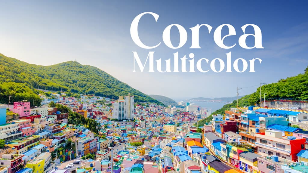 Corea Multicolor