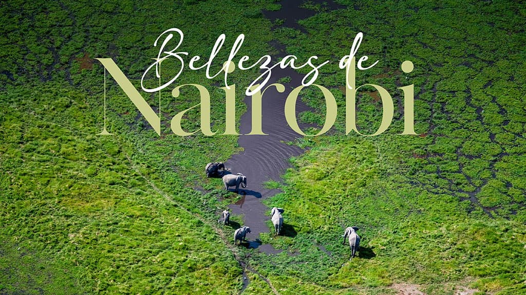 Bellezas De Nairobi