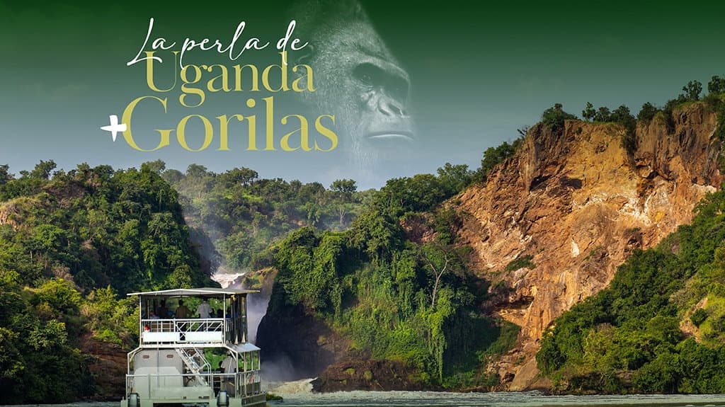 La Perla de Uganda + Gorilas