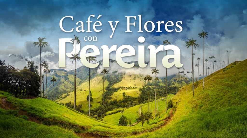 Café y Flores con Pereira