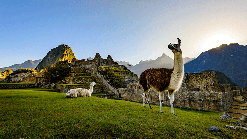 Vive la Magia del Peru Desde Monterrey